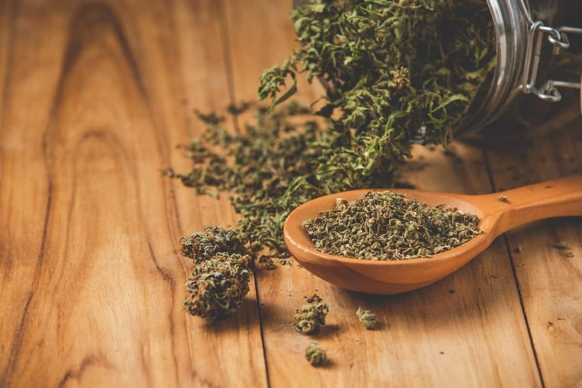 Most Delicious Hemp Products in the USA